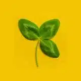 respect environnement